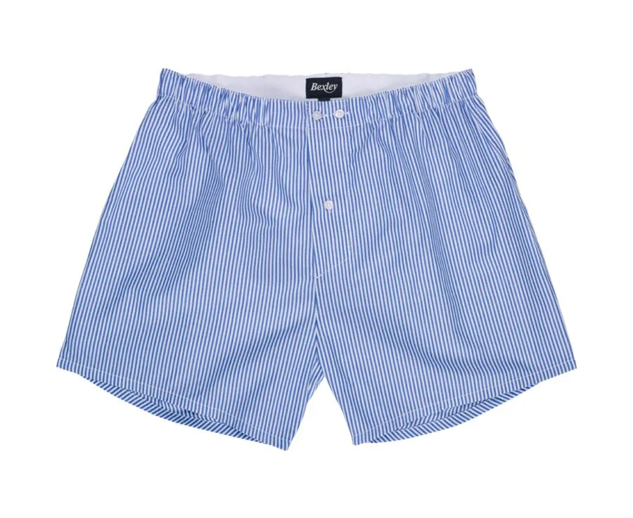 Box of 2 Plain Blue/Striped Ocean blue and white Men's boxer shorts - ELON